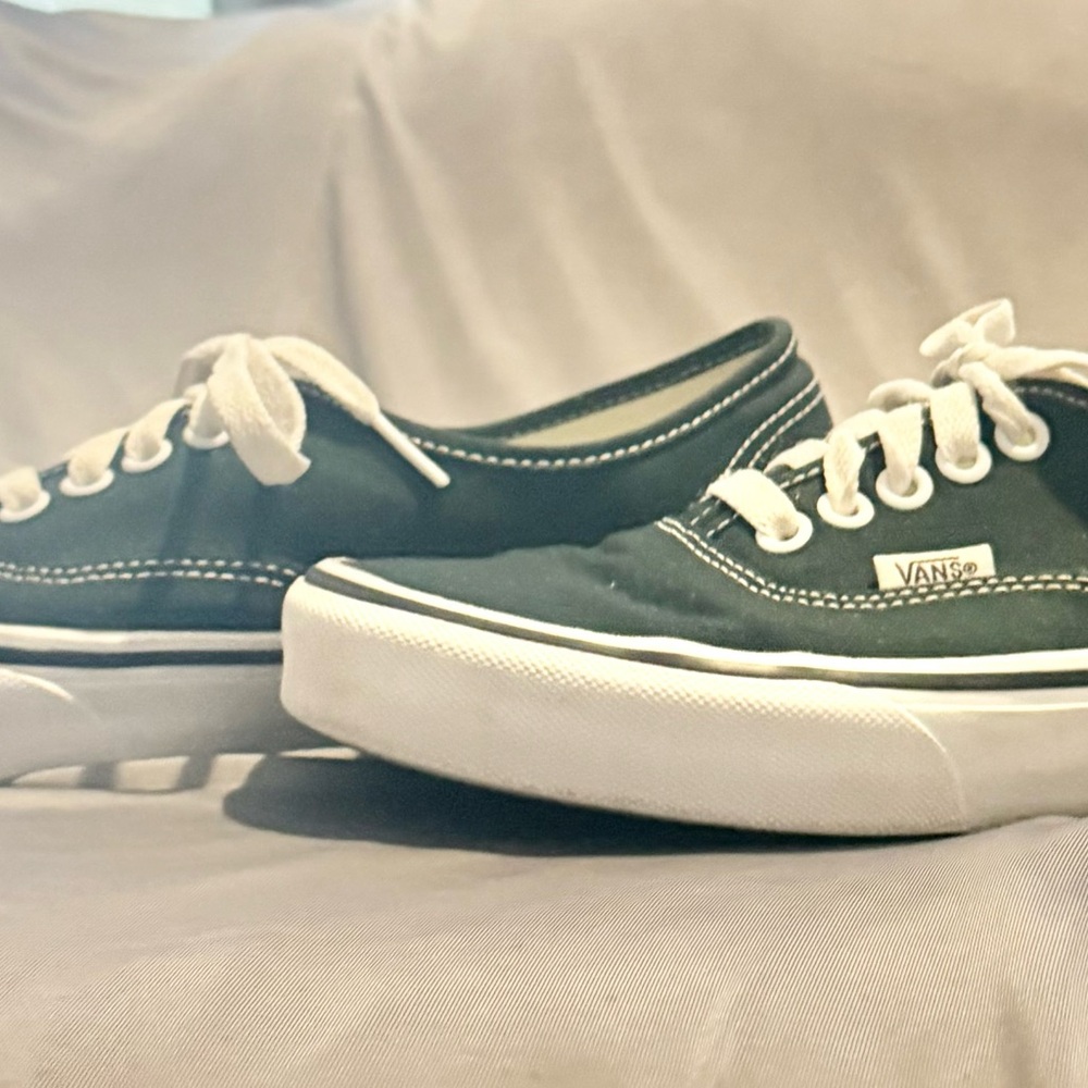Vans Authentic Canvas Theory Scarab